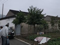 -苏州市吴中区光福窑上花果蜜饯厂