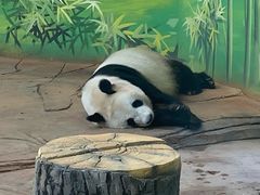 -二一九公园