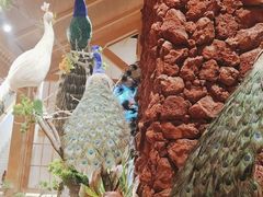 -寻滇记云南鲜牛肉火锅(北海路店)