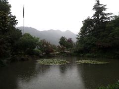 -中国茶叶博物馆(双峰馆区)