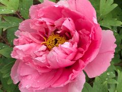 -合肥三国新城遗址公园