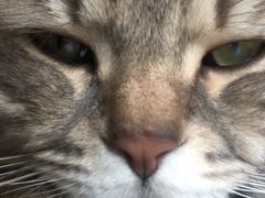 -天使咖啡(兴新街店)