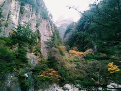 -青峰峡国家森林公园