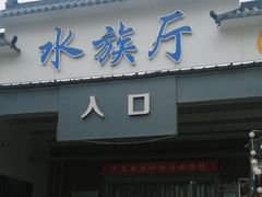 -保定市花鸟鱼虫市场