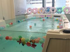 -亲亲袋鼠托育早教·思维专注力·棕熊英语(鼓楼恒力城店)