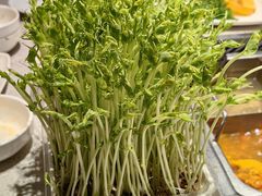 -海底捞火锅(航洋城店)