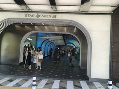-乐天免税店(明洞店)
