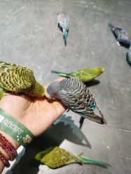 -酷嗒动物文化乐园(cutezoo西溪乐天城店)