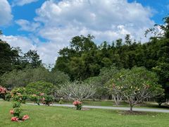 -中国科学院西双版纳热带植物园
