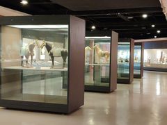 -西安大唐西市博物馆