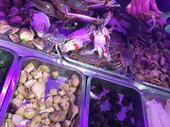 -春华海鲜城(广场西苑店)