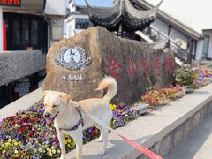 -金山嘴渔村
