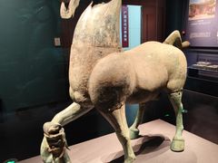 -广西壮族自治区博物馆