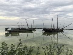 -贡湖湾湿地公园