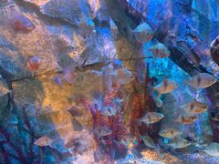 -沈阳海洋探索中心