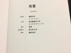 -新加坡航空公司(ION)