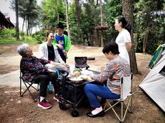 -铁山坪森林公园