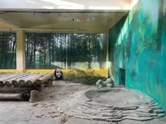 -杭州野生动物世界
