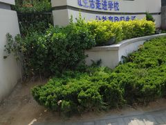 -崂山区第二实验小学