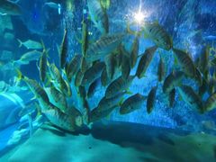 -威海华夏城景区