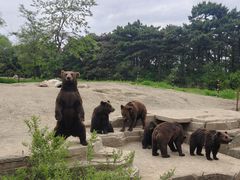 -沈阳森林动物园