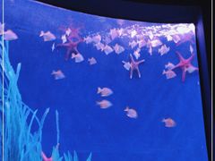 -沈阳海洋探索中心