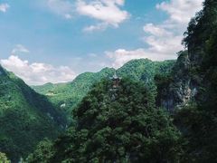 -神农大峡谷景区