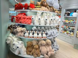 -国际蓝孩BabyInternational(杭州嘉里中心店)