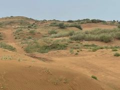-银肯塔拉沙漠生态旅游景区