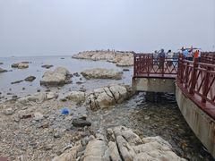 -养马岛旅游度假区