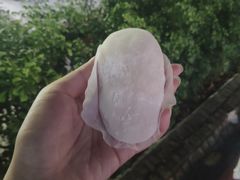 -澳门长洲糯米糍(柯打苏沙街店)
