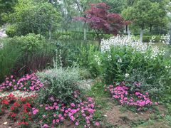 -经络盲人推拿(鼎鑫中心店)