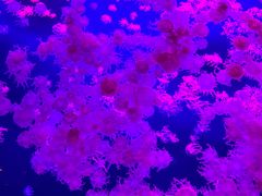 -横琴湾水世界