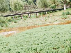 -沐仙湖湿地公园