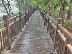 -东湖落雁景区