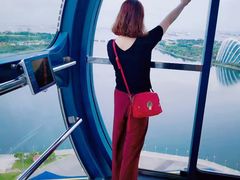 -新加坡摩天观景轮