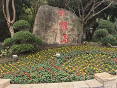 -野狸岛