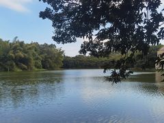 -南国桃园旅游度假区