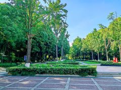 -苏州河梦清园环保主题公园