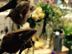 Mikaku-MIKAKU(万达广场上海宝山店)