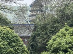 -灵谷景区