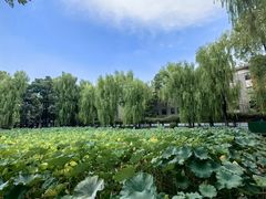 -四川大学(望江校区)