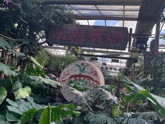 -呀路古热带植物园