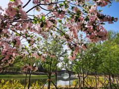 -大兴滨河森林公园