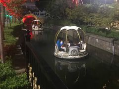 -锦江乐园舞狸花花游园会(夜场专享)