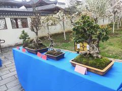 -堤角公园