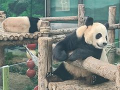 -大连森林动物园