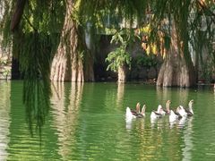 -广州市干部健康管理中心