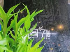 -宫七SPA·高端Massage(浦东大道店)