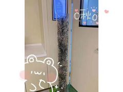 -黑马眼科·近视手术